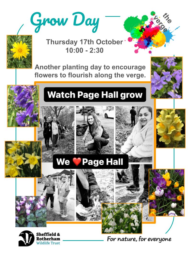 SrwtConnecting's tweet photo. 🌼🦋🐞💚 
#fornatureforeveryone #livelovelocal #vergereserve 

@wildsheffield @RecoveryNature @ShefEnvironment @changingsheff @sccstreetsahead @sheffcitycentre @welcomingcult @theoutdoorcity @BITC @pagehallhealth @FirValeSchool @OasisFirVale @OwlerBrook @EndeavourSheff https://t.co/rgYqGL3iKl