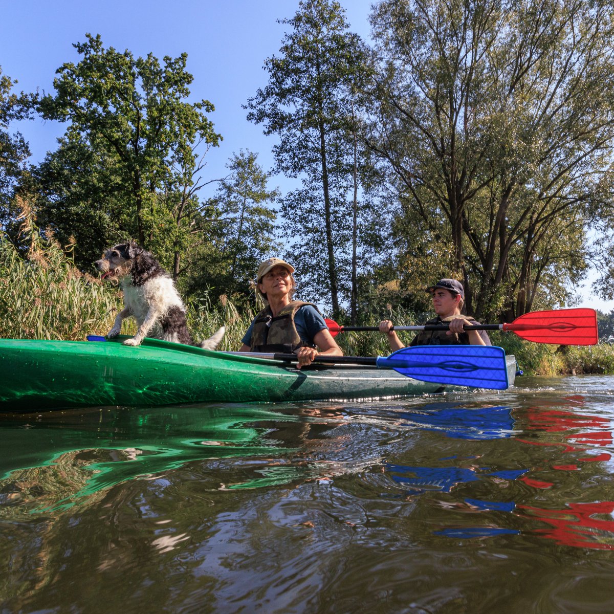 Rewilding Oder Delta tweet media