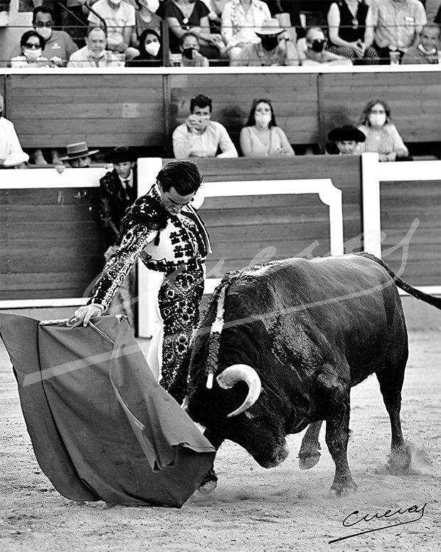 El exquisito toreo de...
Juan Ortega.
<a href="/astigio/">Pepe Luis Vargas</a> <a href="/juanortegapr/">Juan Ortega</a>

👉Prohibida su reproducción total o parcial ©®
#tauromaquia #arte #cultura #toro #bull #torero #bullffighter #fotografia #photography #taurina #espana #spain