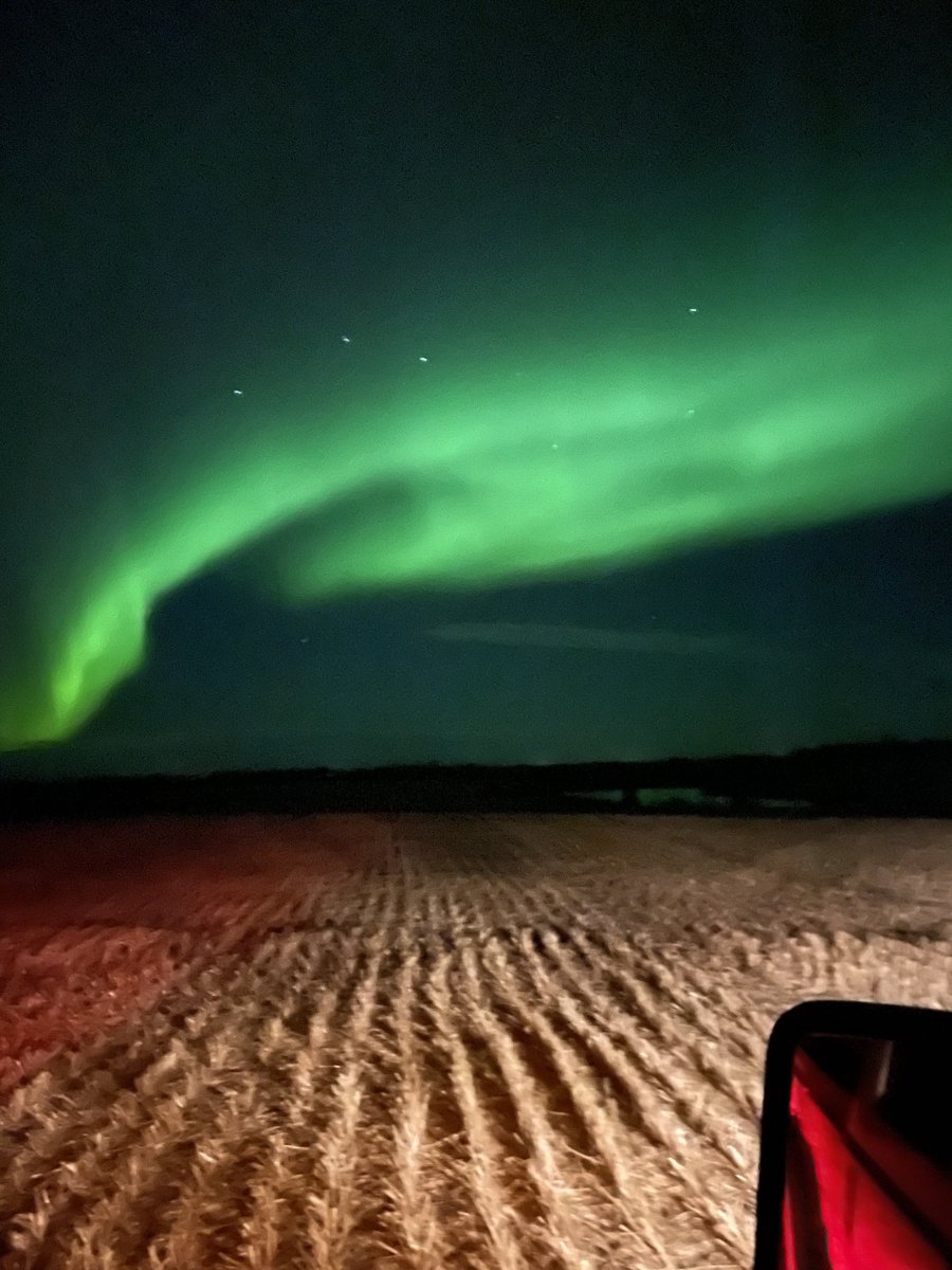 Greg Tobler tweet media