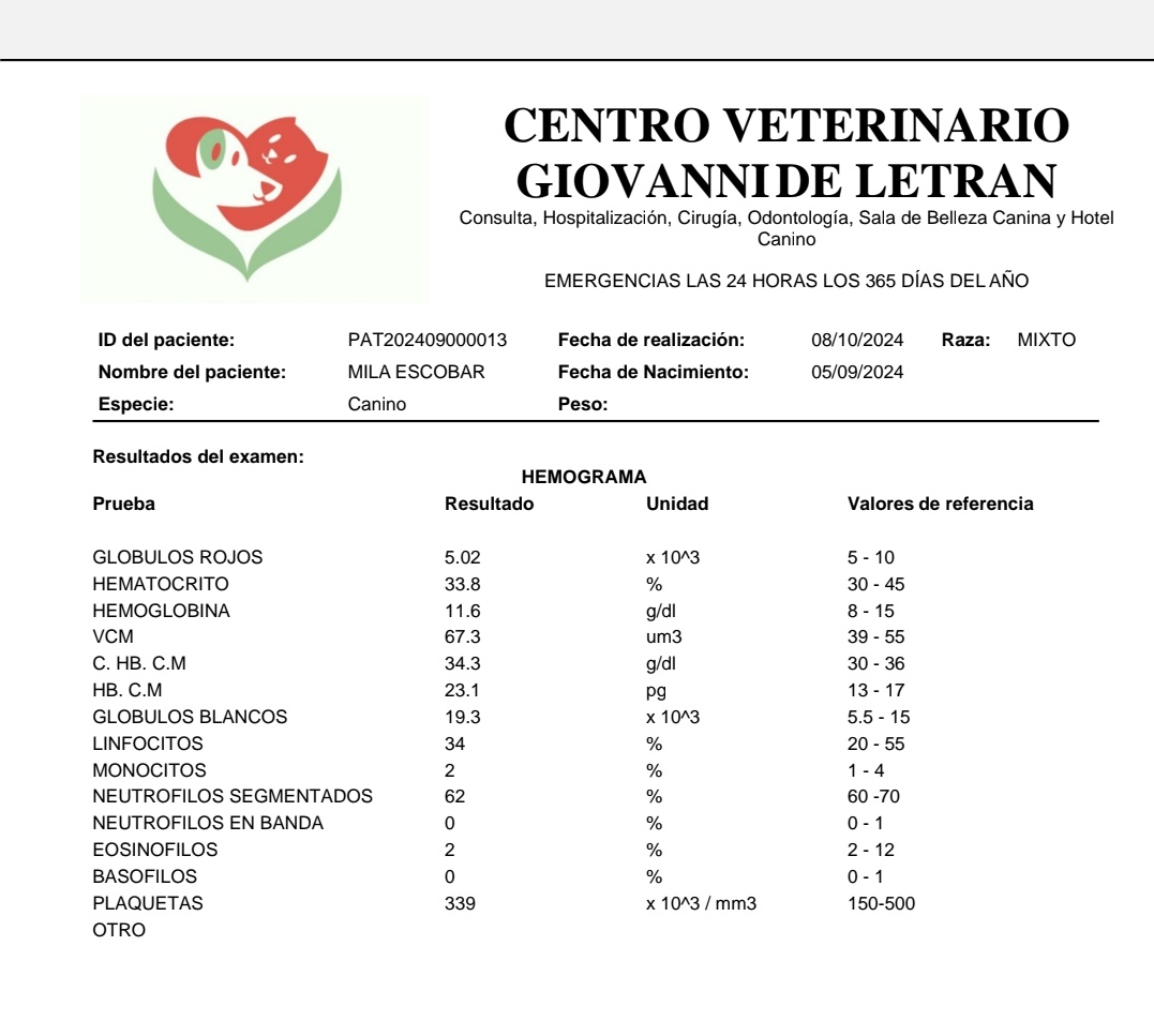 ProyectoEsperanza503 tweet media