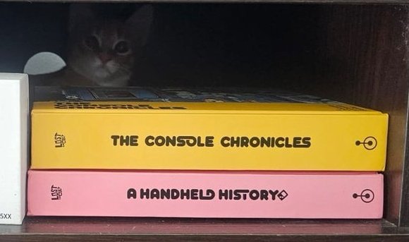 profrockpr's tweet image. Did you know I updated my cover banner because my cat wanted to be in it? 
@lostincult
@timeextension64 @retro_dodo 😁

#CatLife #PetModel #BannerUpdate #CatLove #PetGoals