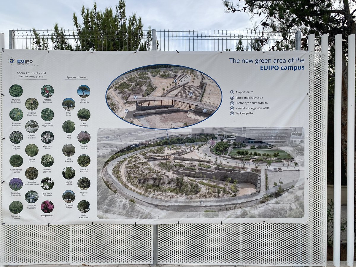 Jean Rodesch 🇪🇺 tweet media