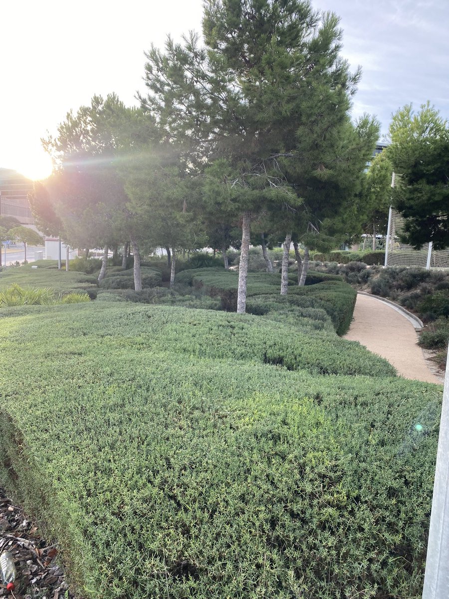 Jean Rodesch 🇪🇺 tweet media