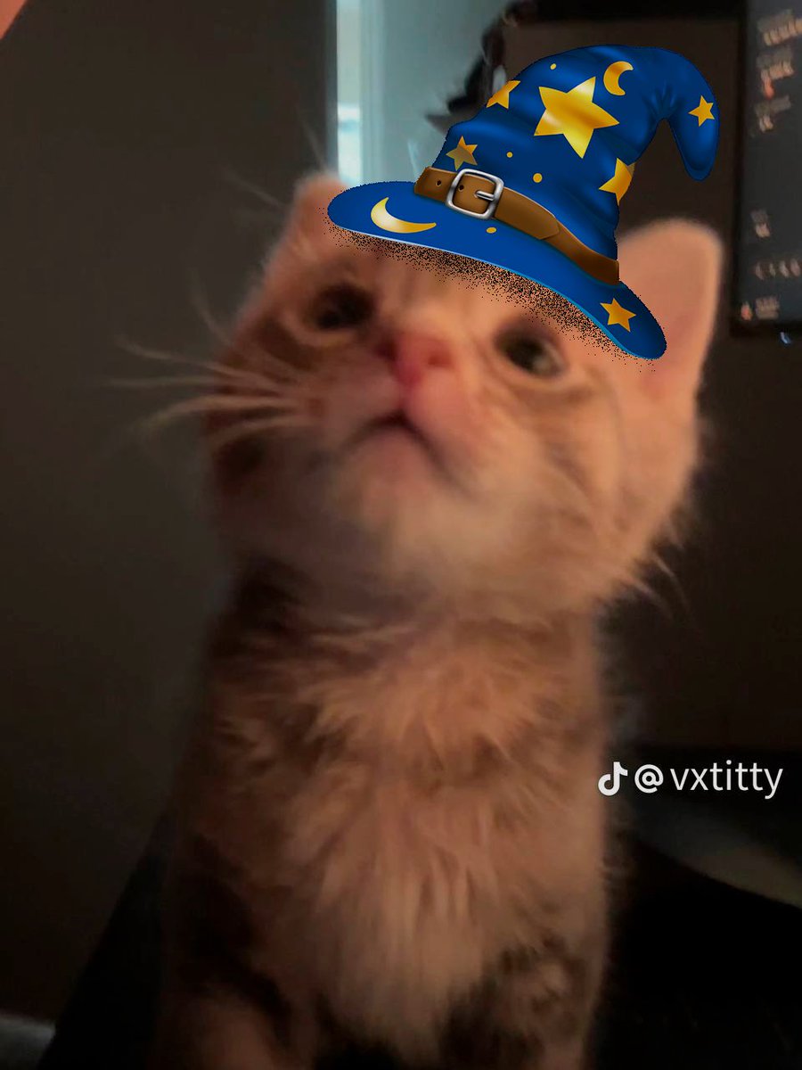 ma_babezz tweet media