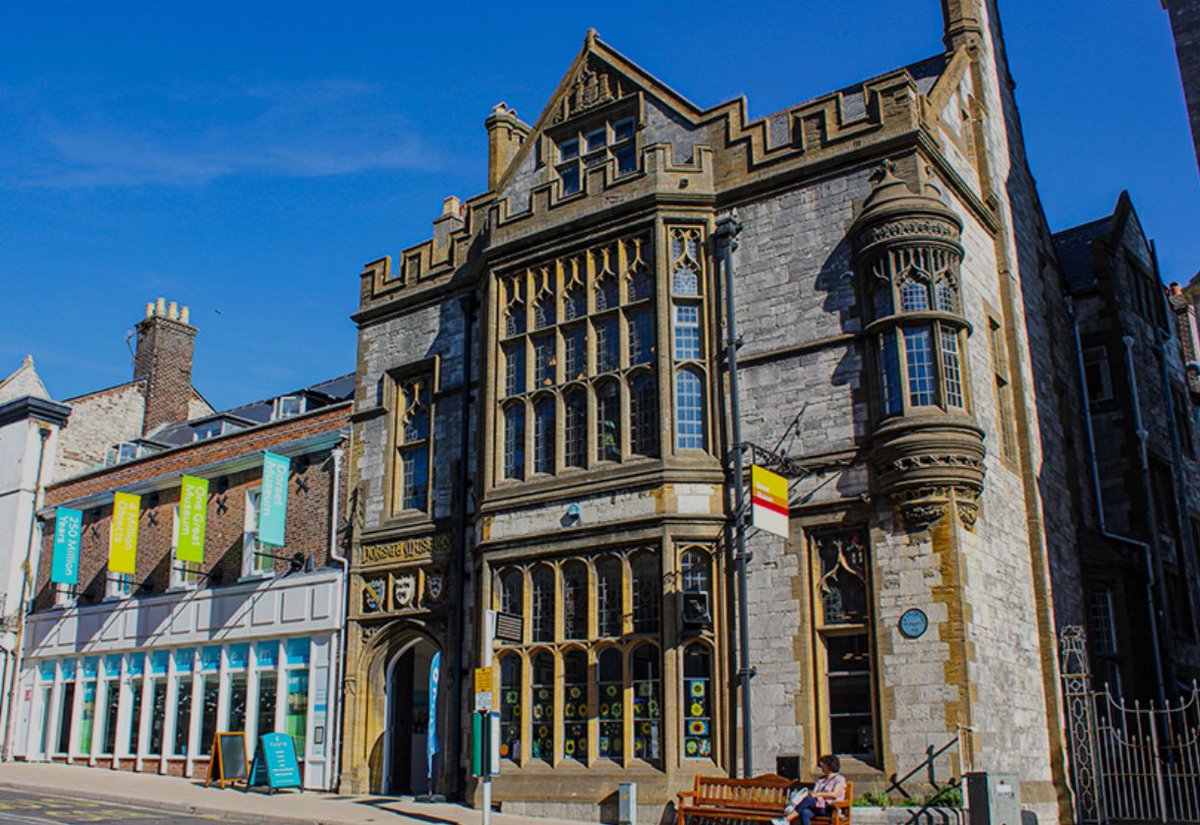 Amanda Milliner tweet media