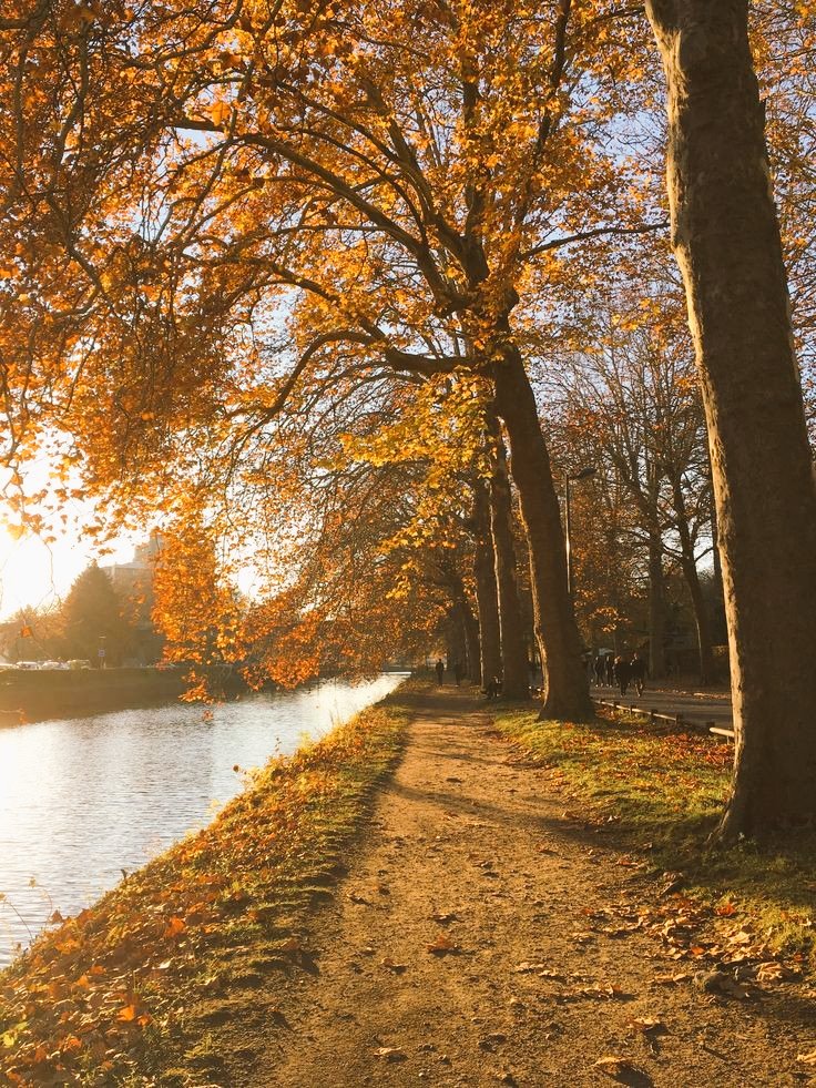 Dobro jutro 🍁 Have a beautiful day 🌷😊☘️

#morning #nature #photo