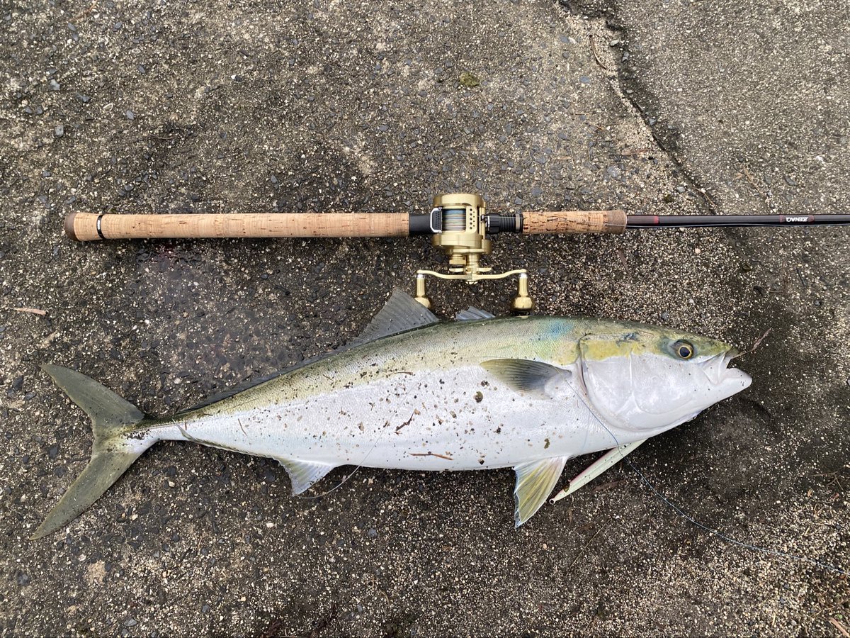 ロッド:ZENAQ DEFI BAHN AKAME DB-B98
リール:カルカッタコンクエスト300
ジグ: 激投ジグ ストライク 105ｇ