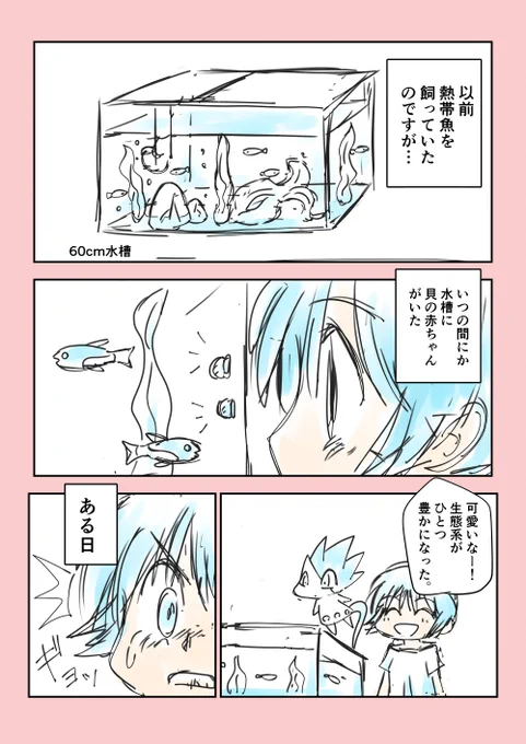 「熱帯魚を飼おう!」 #漫画が読めるハッシュタグ