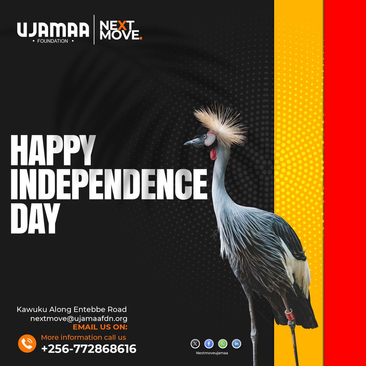 “Happy Independence🇺🇬Day from Next Move and Ujamaa Foundation! Celebrating freedom, unity, and growth in our beautiful country. 

Visit us at Kawuku Along Entebbe Road or reach out for more information. 

Together, let’s build a brighter future. 🇺🇬 
#IndependenceDay
 #62since62