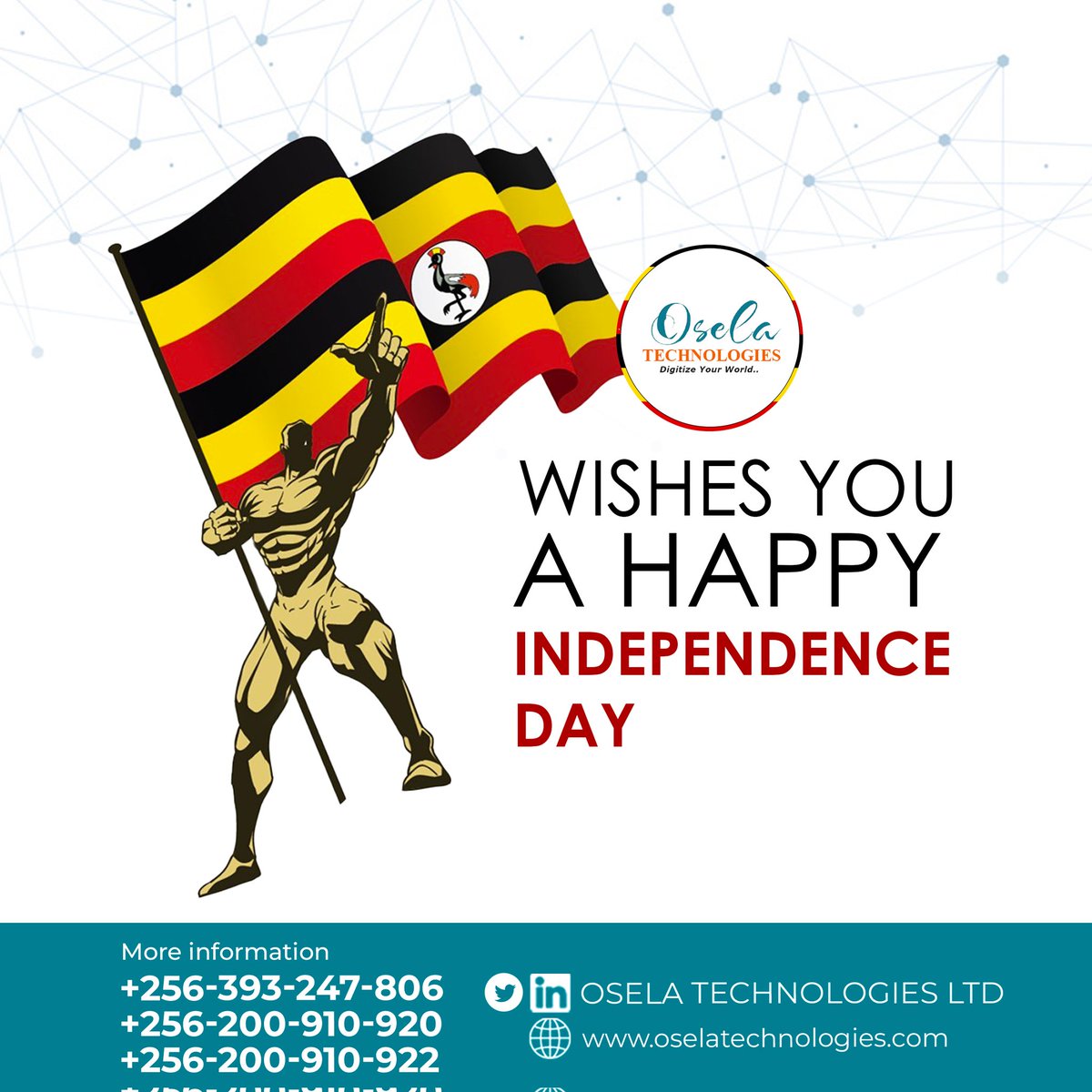 Osela Technologies Ltd tweet media