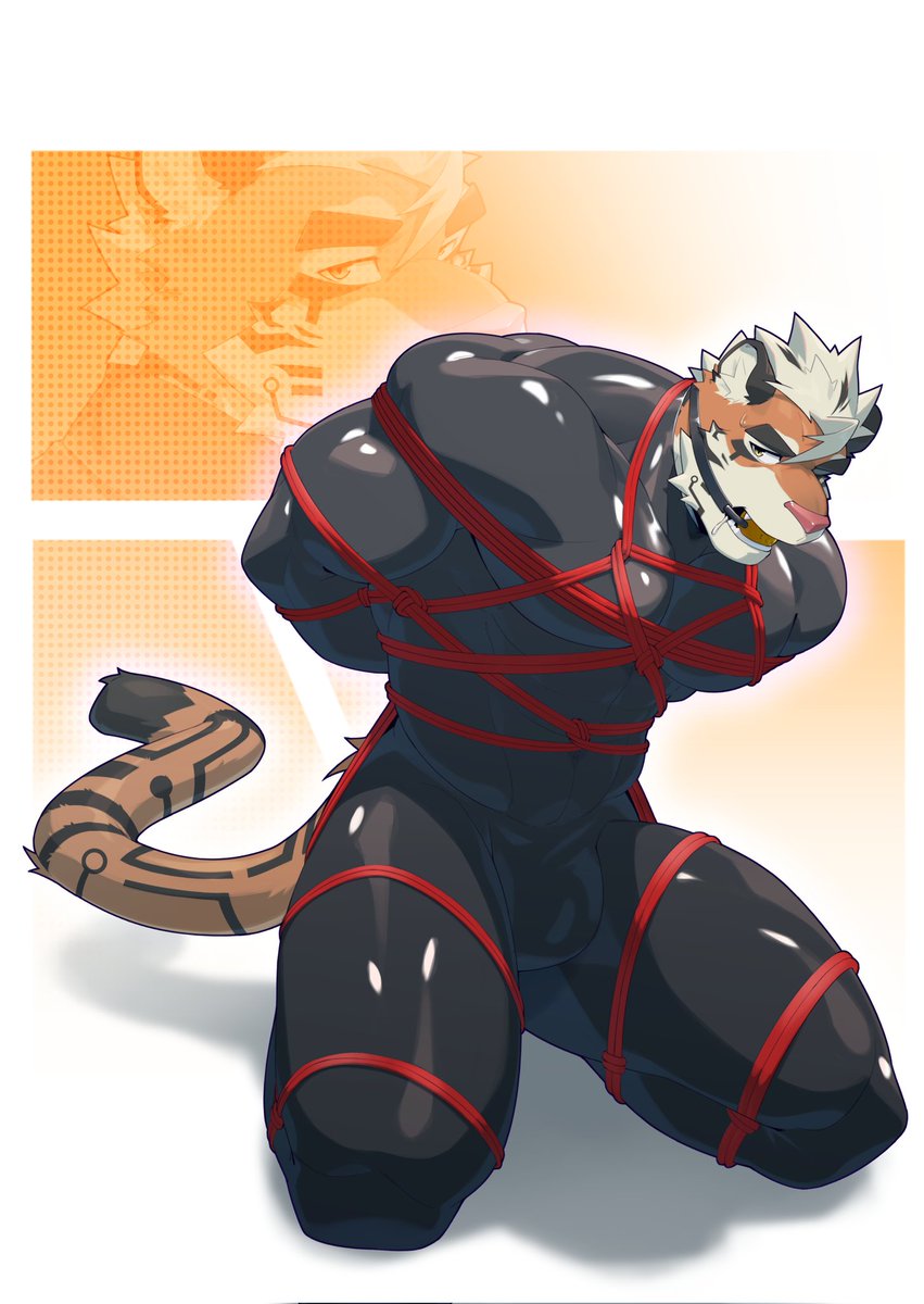 武术黄捧 tweet media