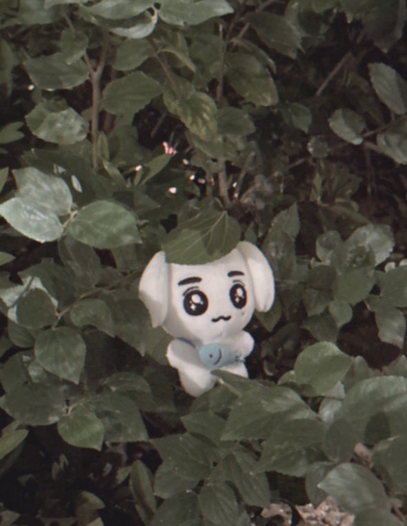 haringg_eee's tweet photo. 입금폼 마감 하루 전날입니다! https://t.co/BIr2Bw7maW