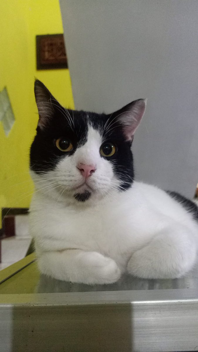 Siang-siang waktunya ngopi ☕️