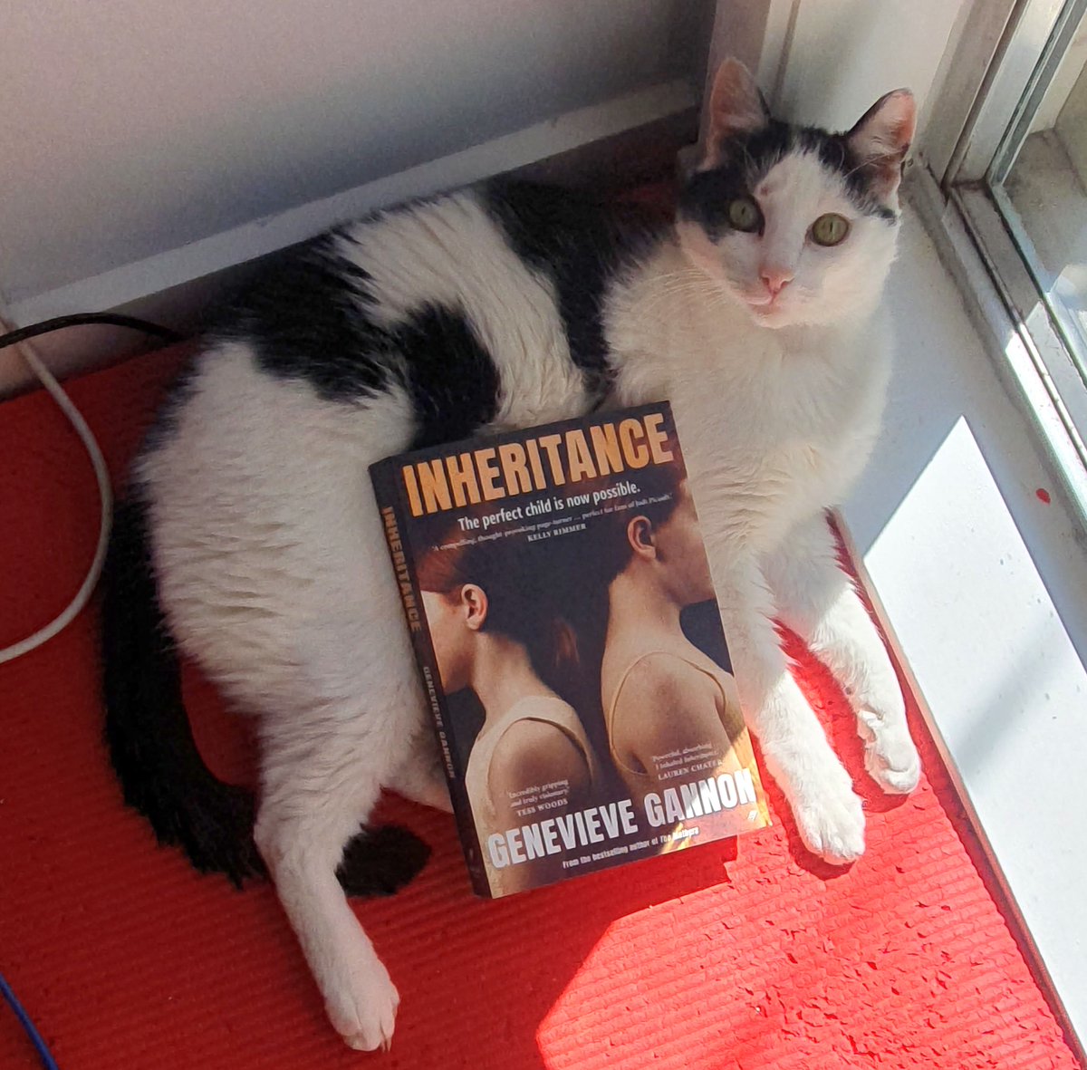 Inheritance by @Gen_Gannon   is a compelling dystopian novel about gene editing and motherhood. It raises some interesting questions to ponder, and I’ll be thinking about this book for some time.
wp.me/p5k577-1or
#booktwt #amreading #BookReview