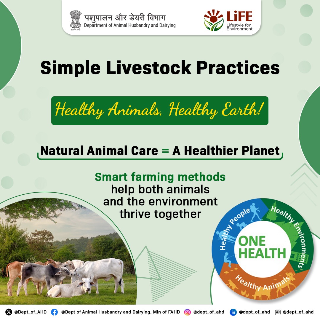 Dept_of_AHD's tweet photo. When we care for our animals with natural methods, we also care for our planet. 

Let’s use smart farming to help our animals and the Earth thrive together.

#MissionLiFE #HealthyAnimals #CleanFarming #SavethePlanet https://t.co/yCp7z5GX36
