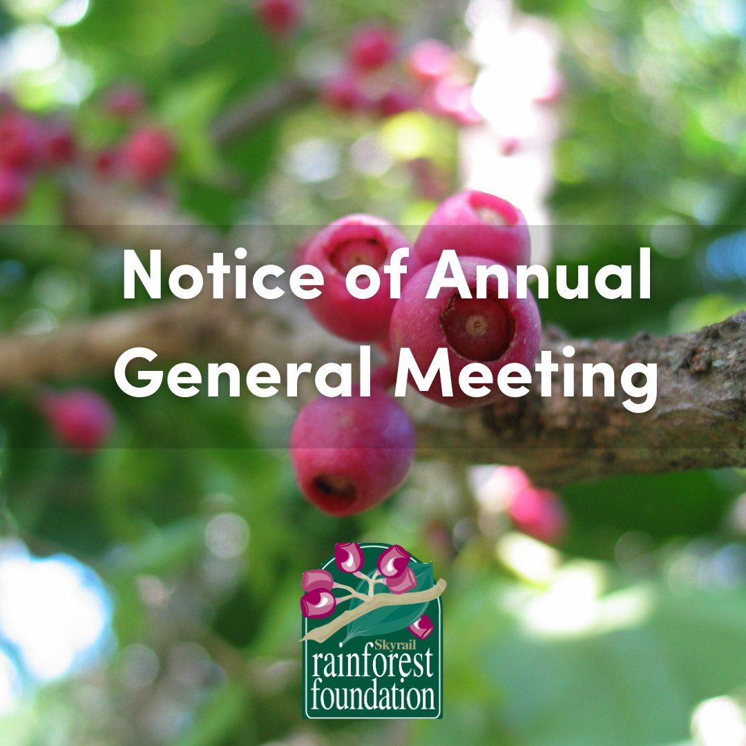 📣 Annual General Meeting Notice 🌿
 Join us on Wednesday, October 30, 2024, at 9:45 AM at our registered office in the Chapman Court Boardroom, 36 Grafton Street, Cairns. All members are welcome, we look forward to seeing you there! 😁🌳