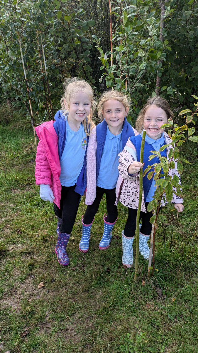 SwissValleyCP's tweet image. Pupils in Bl2 used #measuring skills &amp;amp; their metre willow sticks to find objects #outdoors to #estimate and then #measure which are #greater #less than 1m/100cm in #length #height 

#SVCPOutdoors #SVCPMathsNumeracy