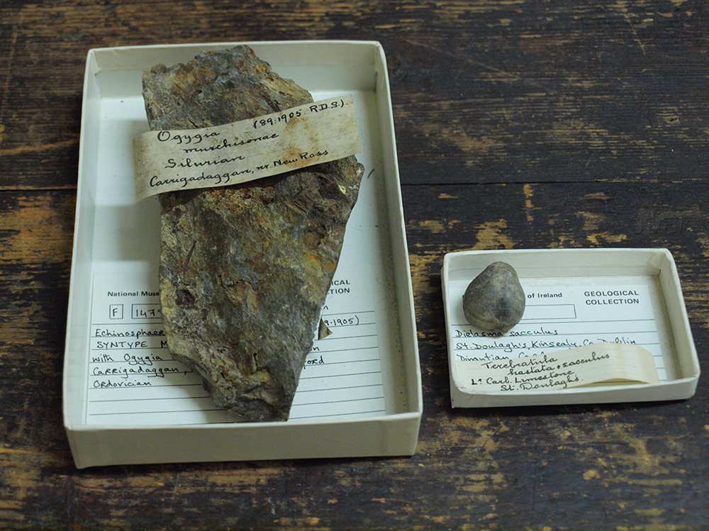 Irish History Bitesize! tweet media