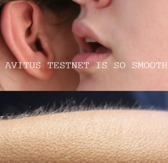 0xYandex's tweet image. #Avitus #gmove
