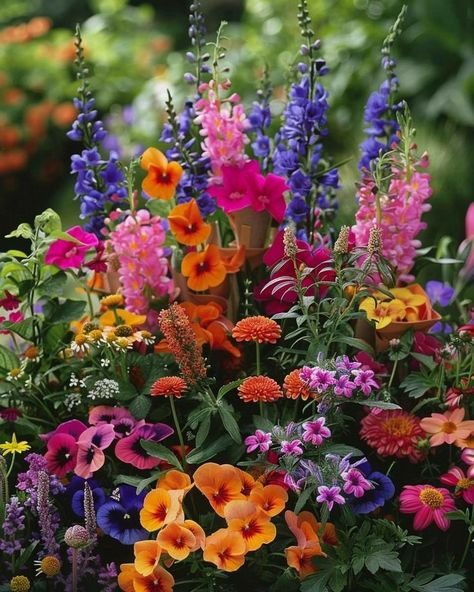 lhkjade921's tweet photo. #beautynature,  #colorworld https://t.co/xOKQ8hlsar