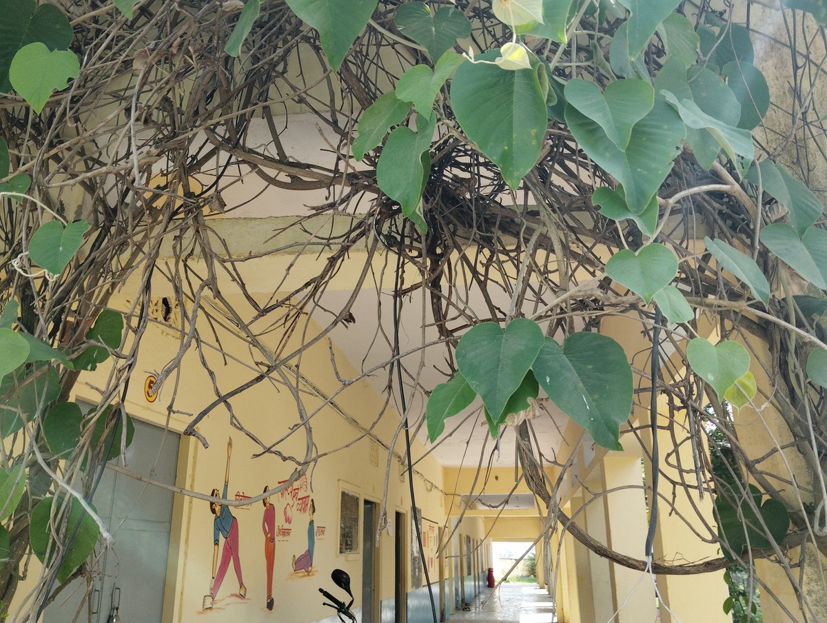 Dineshverma0017's tweet photo. Starting💗
#PM_Shri_School_kadera
#Digital_School
@GsssKadera https://t.co/iHDhwVCySc