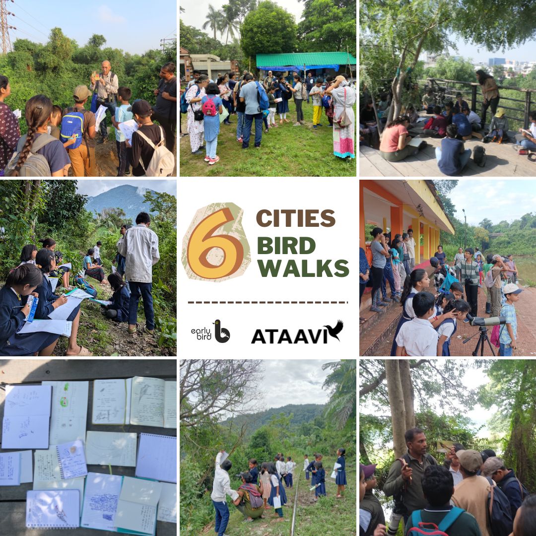 #WildlifeWeek On Oct 6 &amp; 8, <a href="/earlybirdncf/">Early Bird</a> &amp; <a href="/AtaaviIndia/">Ataavi Bird Foundation</a> organized bird walks for children in 6 cities – Delhi, Kolkata, Mysuru, Mumbai, Shirgao (Goa) &amp; Gobuk (Arunachal Pradesh). Kids engaged in nature journaling, bird-related games &amp; more!
Read more 👉 early-bird.in/bird-walks-acr…