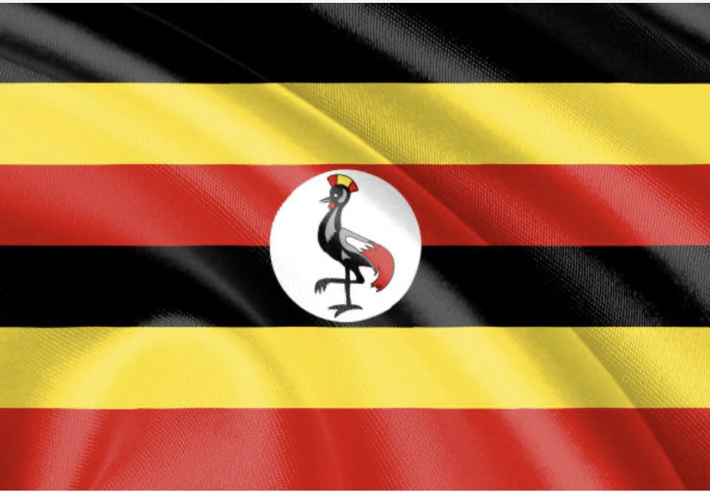 Happy Independence, Uganda 🇺🇬 . My clarion call to fellow citizens on this  Independence anniversary is that let's resolve once again in our plans to increase Agric. production exponentially by ensuring that no arable land remains unopened, be it for food or feed production.