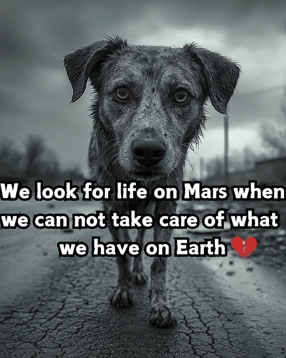 domdyer70's tweet image. So true