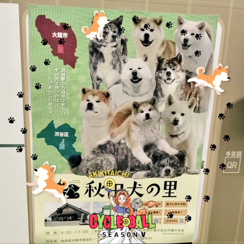 TakeshiUjino's tweet photo. 無事ゴール。

（∪＾ω＾） わんわんお！

#犬
#dog
#サイクルボール
#cycleball https://t.co/FC7NZ3iYPT