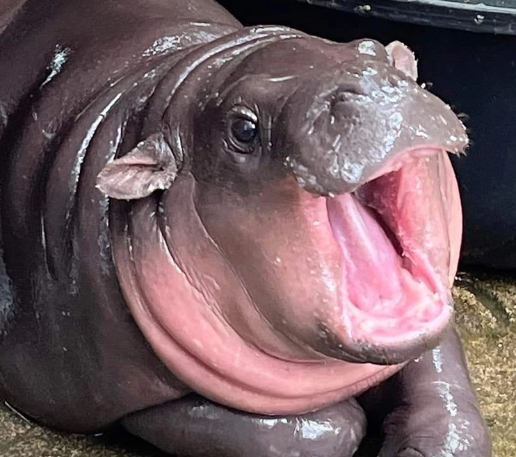 Lawrence (@excelmaxi) on Twitter photo 