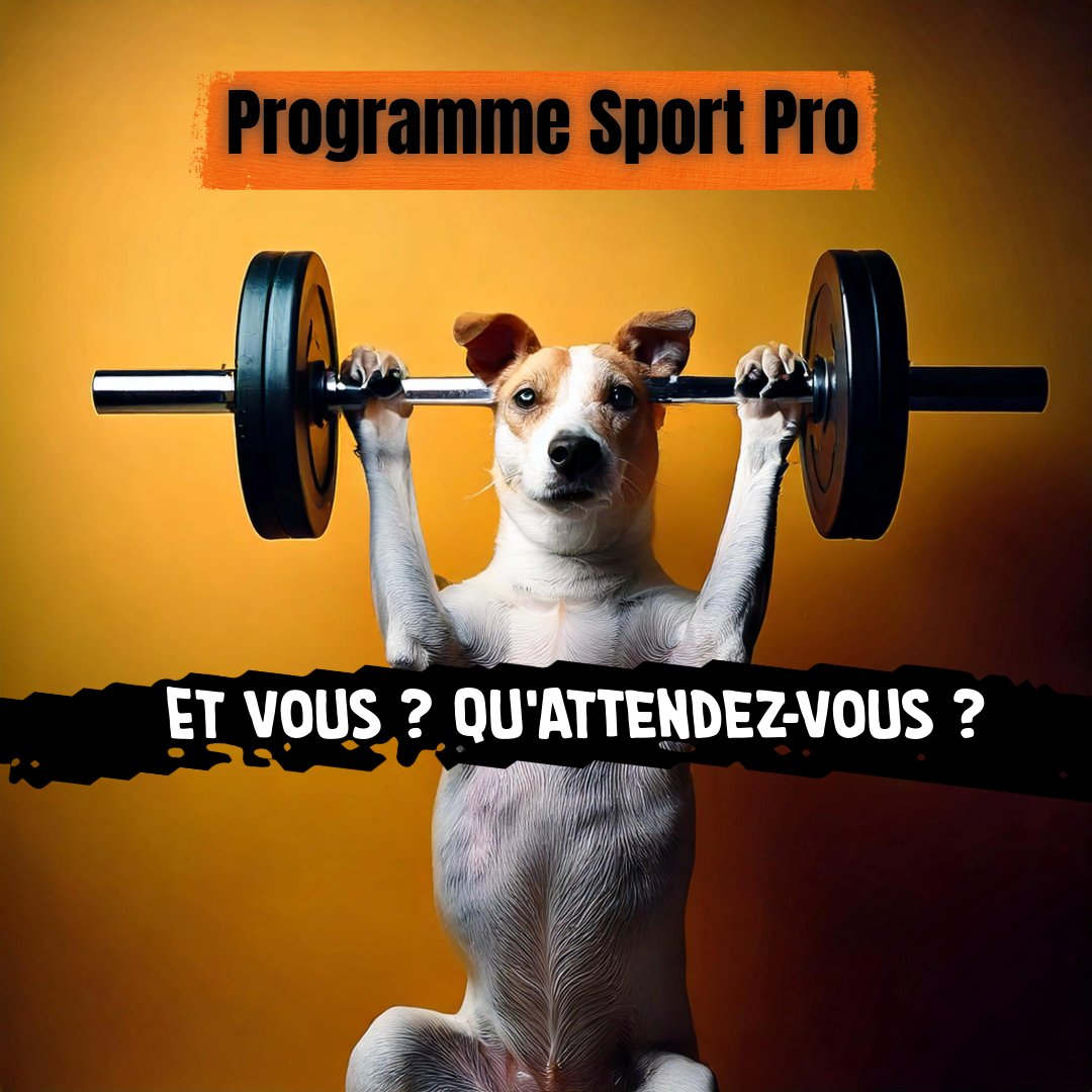 Programme Sport Pro tweet media
