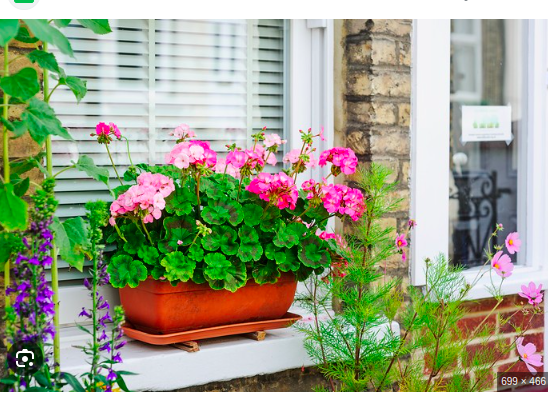 SArenakeri0206's tweet image. #loco
#locobuzz