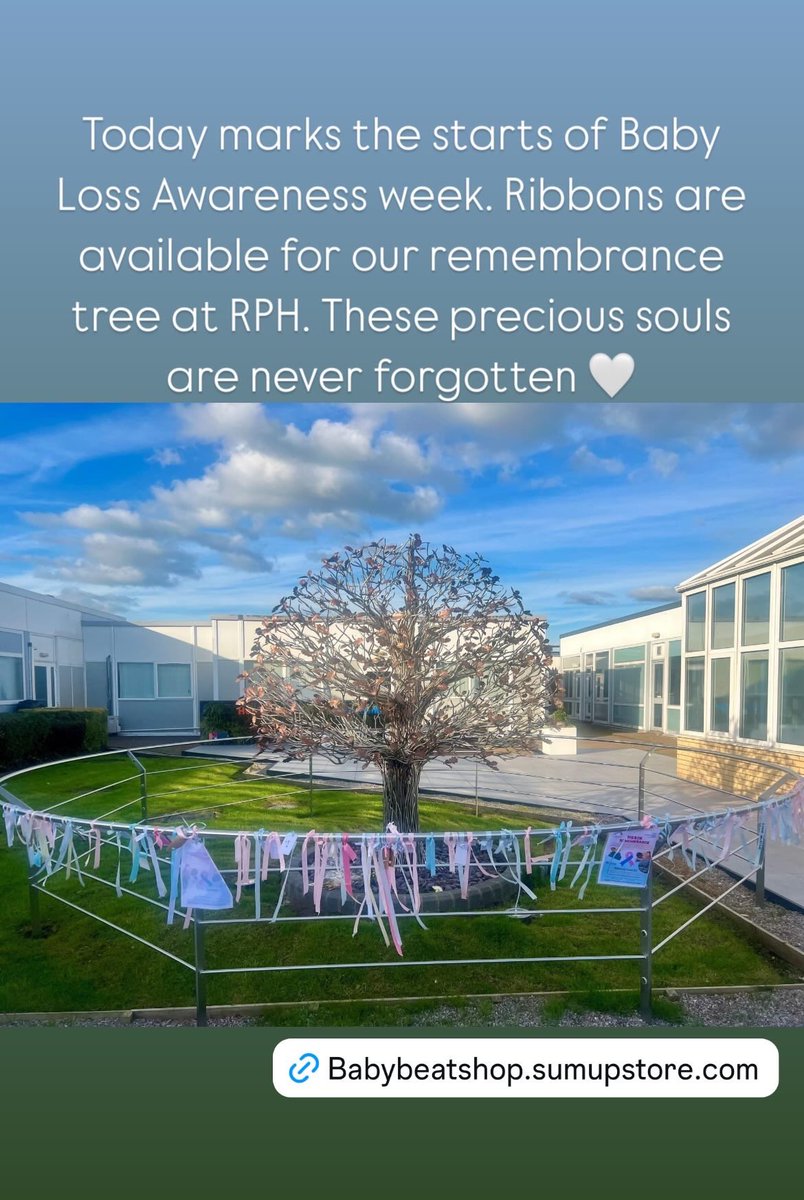 babybeatshop.sumupstore.com/product/baby-l…