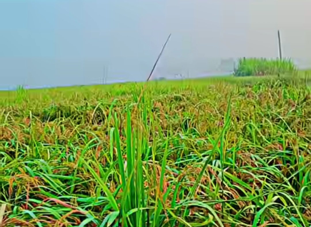 कोई शौक से नहीं रोता, आसूं तभी आते हैं जब दर्द बर्दाश्त नहीं होता....

Good afternoon My 𝕏 Family
#RC16