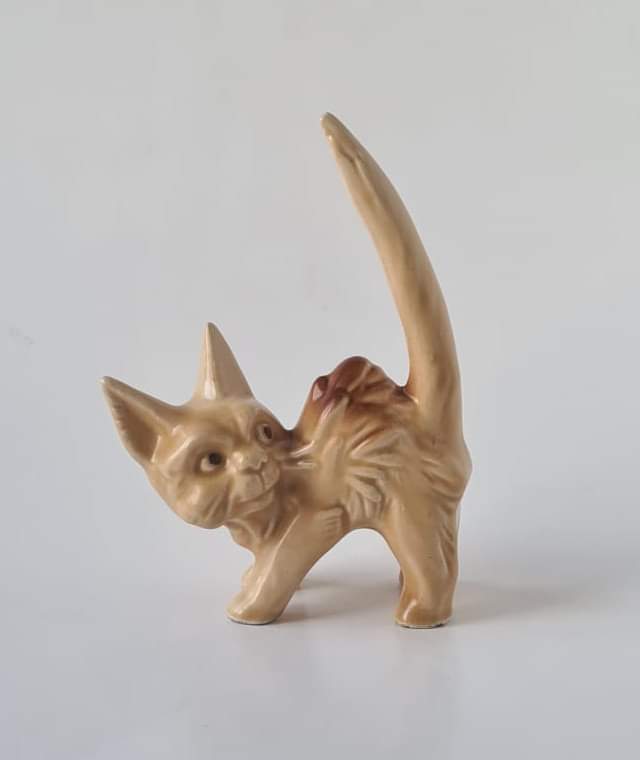 CollectCurios's tweet photo. Collectable Curios' item of the day...Vintage SylvaC Beige Scary Cat Figure
https://t.co/jXw1J2w5iA
#SylvaC #ScaryCat #CatFigure #Collector #Antiquing #ShopVintage #Home #SupportLocal #StGeorgesBelfast #StGeorgesMarket #StGeorgesMarketBelfast #Market #NorthernIreland #Ireland https://t.co/c73B3S2Opv