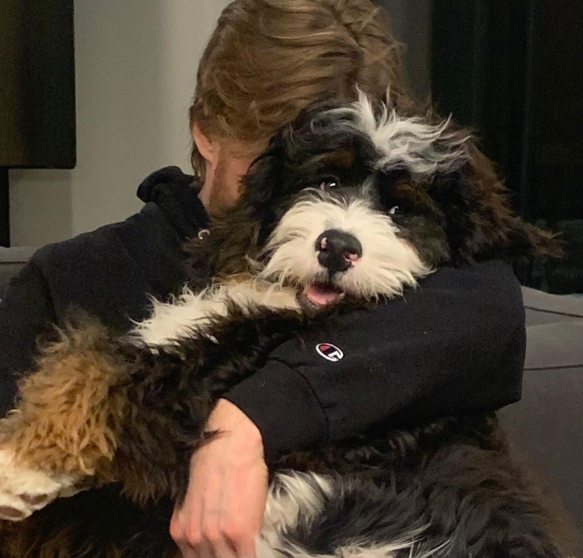 crosbysangels's tweet photo. in honor of our season starting today i present to you:

THE DOGS OF THE EDMONTON OILERS!!!!

starting with captain lenny mcdavid https://t.co/jrgJptE26q