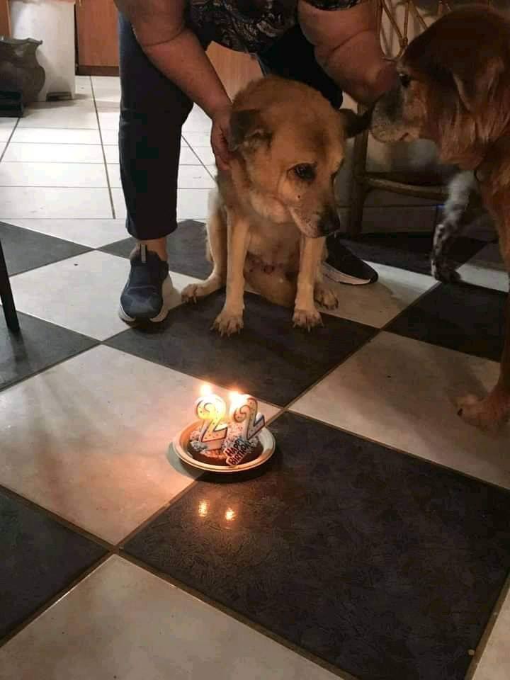 Beyond The Leash tweet media