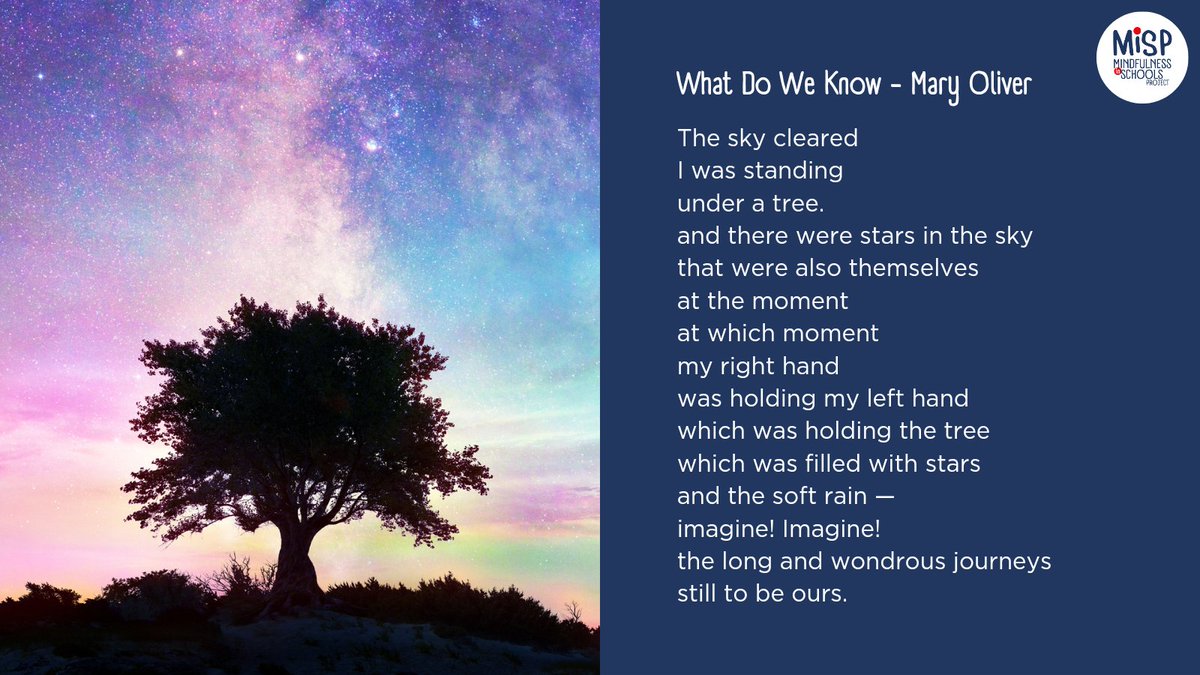 Take a pause to read this week's #WednesdayWords which come to you, once again, from Mary Oliver.