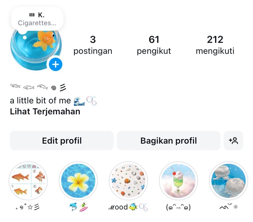 instagram profile ideas !

a thread