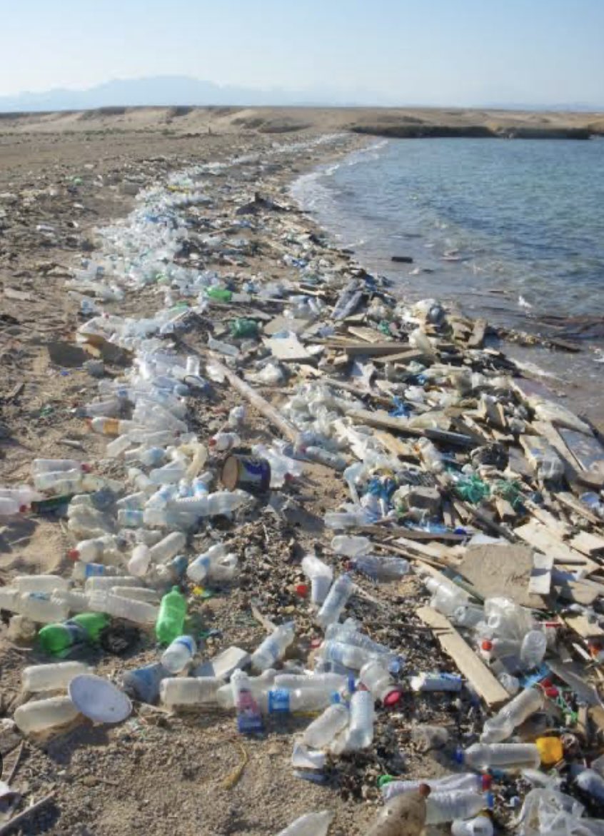 keren lay tweet media