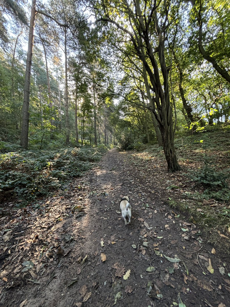 Pix 🎨 tweet media