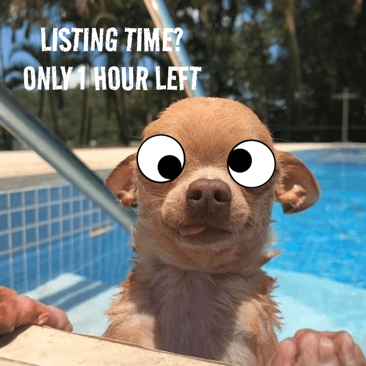 CDOGE tweet media