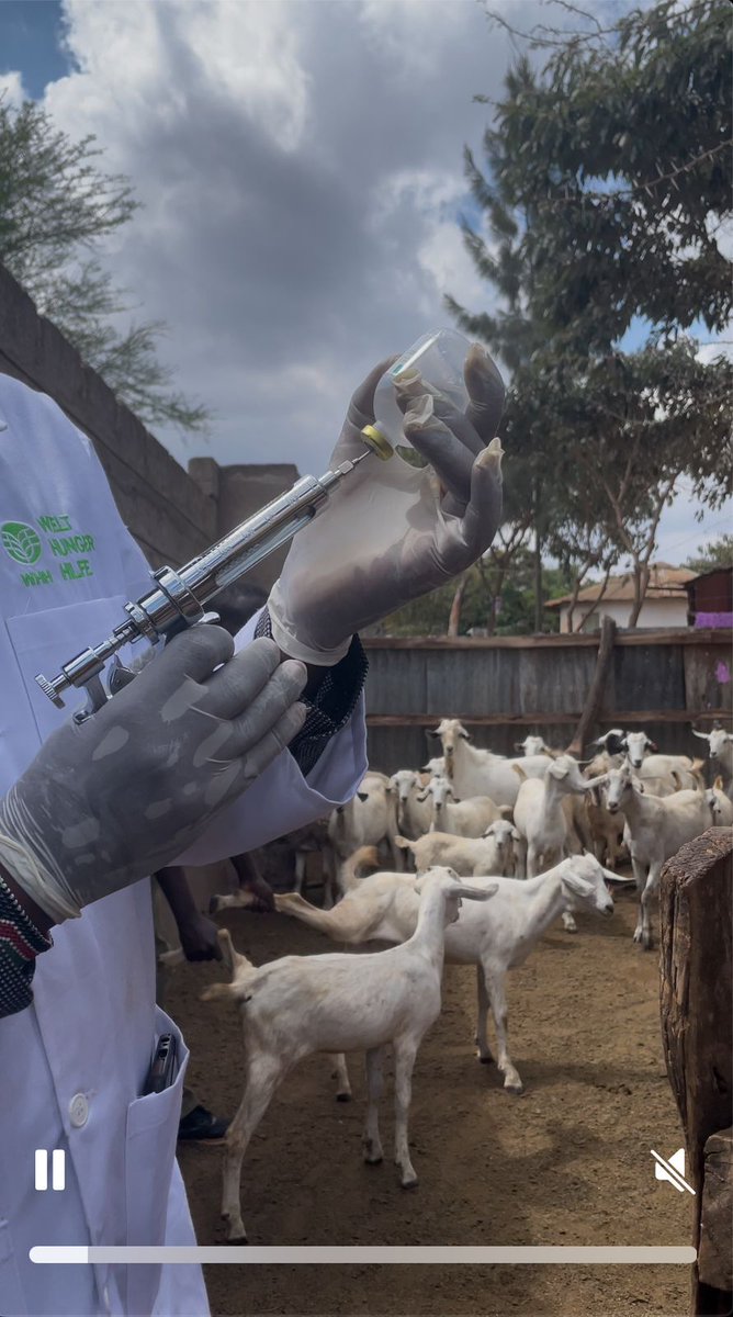 eWAKATech's tweet image. BREAKING NEWS
Deputy President drama aside, 

Cool Ride has emerged to elevate healthcare logistics in Kenya and beyond.

By integrating the solar-powered #Vaccibox with our #shujaa electric bicycle, we’re doing more than tackling #logistical hurdles.

linkedin.com/posts/ewaka_so…