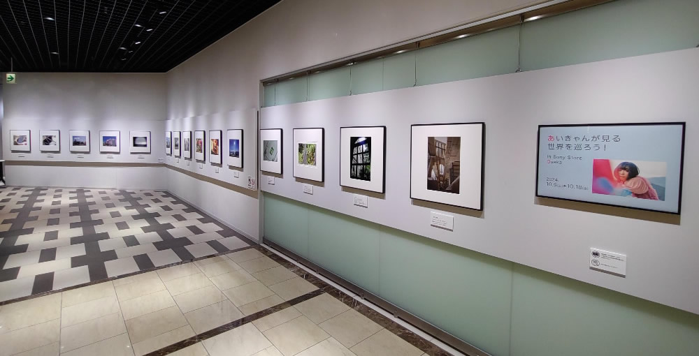 NoDistance_Sony's tweet image. #小林愛香 さんの動画配信記念✨
 ソニーストア 大阪にて10/18まで写真展を開催中❗️
︎sony.jp/store/retail/o…

会期中にソニーストア 大阪へ来店＆チェックインしていただくと
11/17の #あいきゃん 参加のイベントへの参加券の当選確率がUPします🎁

ぜひ写真展にお越しください📷

#NoDistance