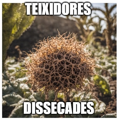 AFA Escola Teixidores de Gràcia tweet media