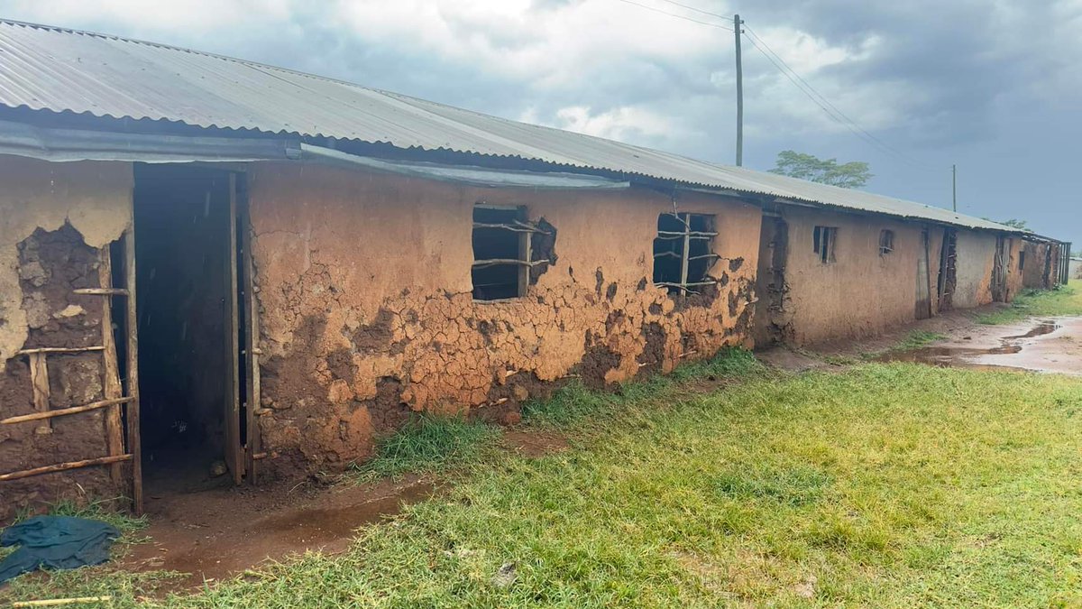 DanChepta's tweet photo. This is Nandi Rock Primary School, in Nandi County, Aldai Constituency.

Where did we, the Kalenjins, go wrong?

#FormIEBC https://t.co/mqRyZXJ81c
