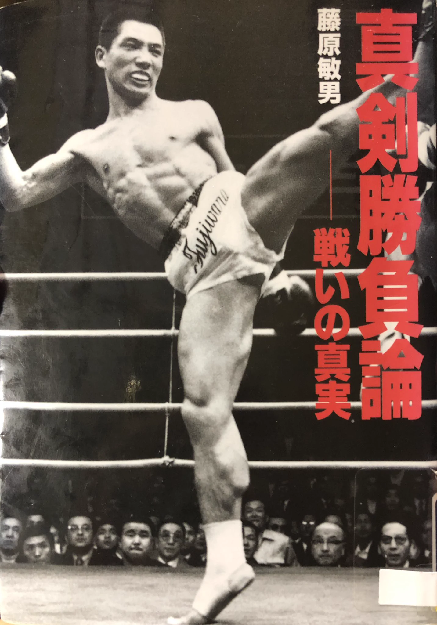 秋田猫 on X: 
