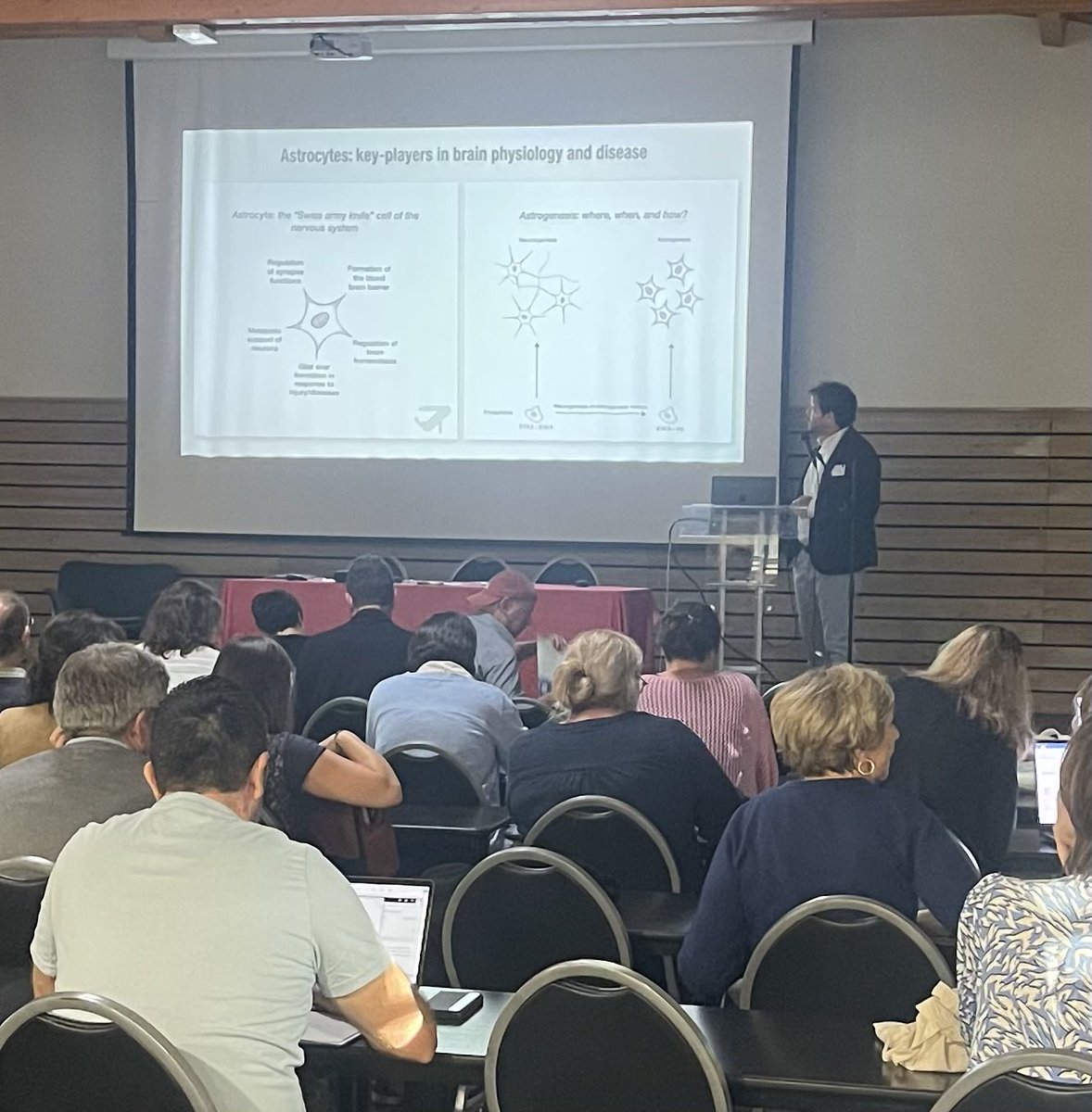 Ricardo Bocchi from the University of Geneva is opening the first symposium of this morning’s sessions at #GCC2024 on the molecular mechanisms underlying #astrocyte origins and diversity during #corticogenesis #Lazaret