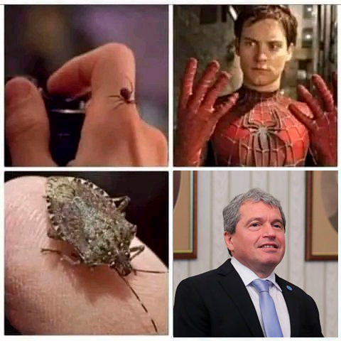 Tsyki (@ocfcrew) on Twitter photo 